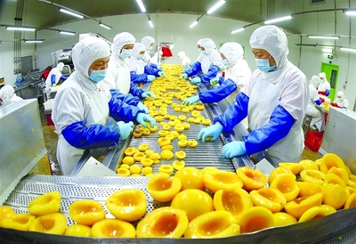 冷冻黄桃丁 全球贸易中的甜蜜商机与品质保障